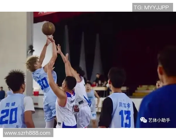 明星篮球主场的魅力与激情探秘让我们一起感受篮球文化的无限魅力